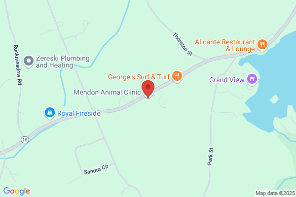 Mendon Animal Clinic