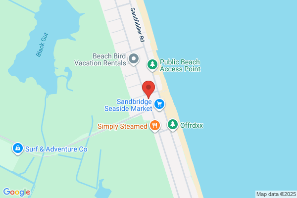 Sandbridge Dunes