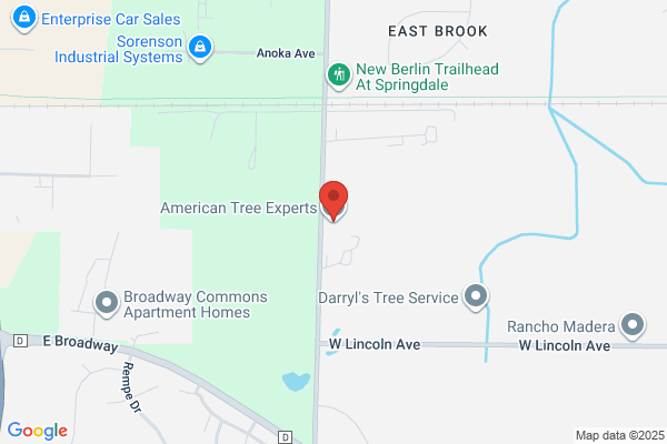 American Tree Experts