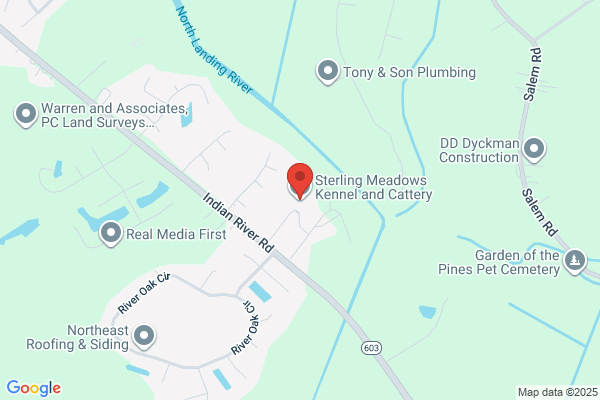 Sterling Meadows Kennel & Cattery
