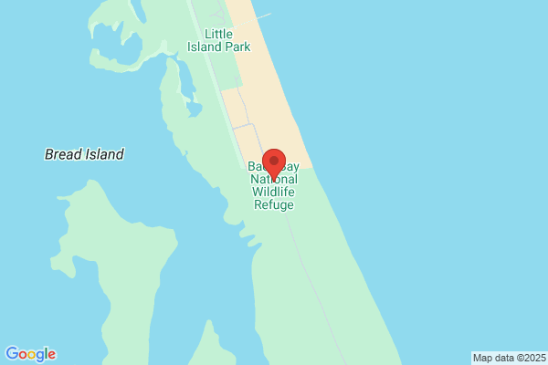 Back Bay National Wildlife