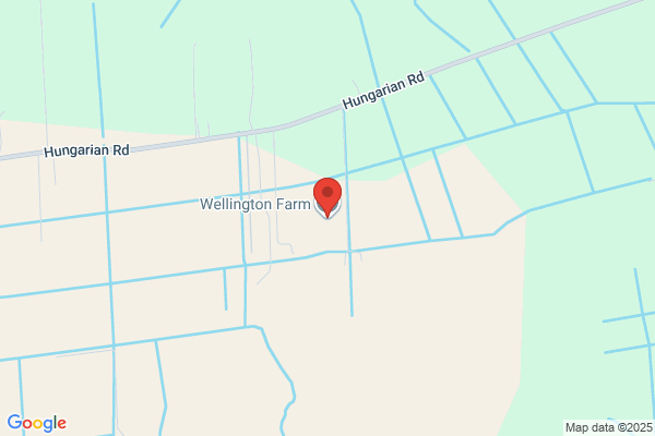 Wellington Farm
