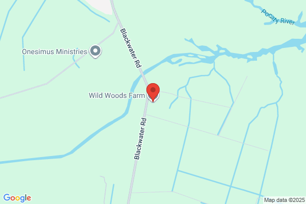 Virginia Wild