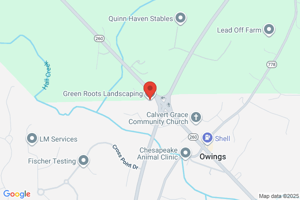 Greener Vision Lawn and Tree Care