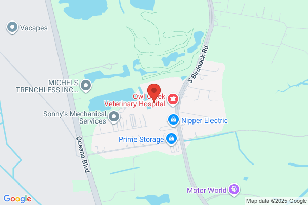 Forrest Sewer Pump Service