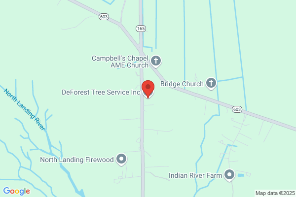 Deforest Tree Service