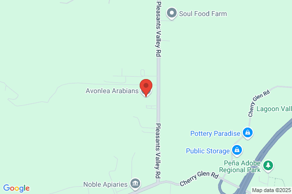 Avonlea Arabians