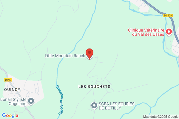 Little Mountain Ranch