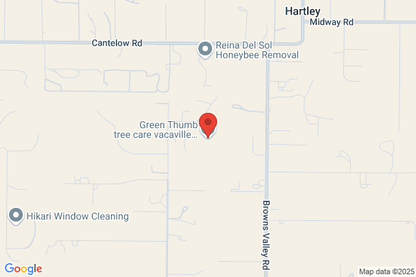 Green Thumb Tree Care