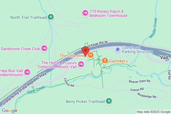 The Lion