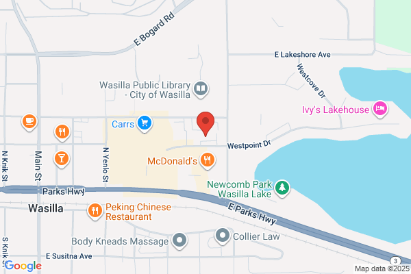NAPA Auto Parts - Alaskan Auto, Inc