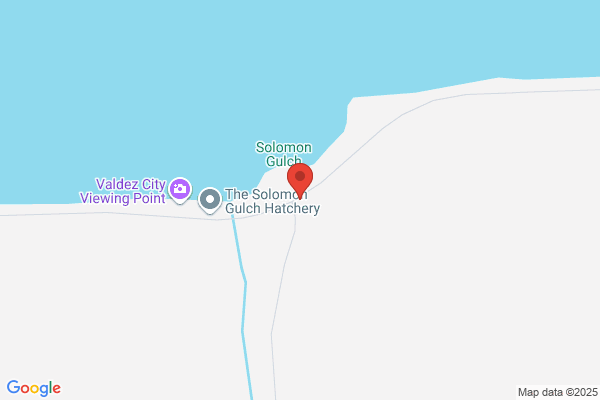 Valdez Fisheries Development Association