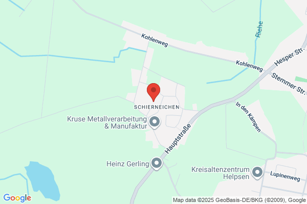 Hasmik Party Service