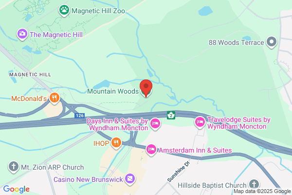 Mountain Woods