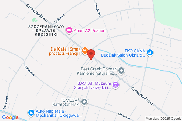 Dermal Solutions Esthetic Center
