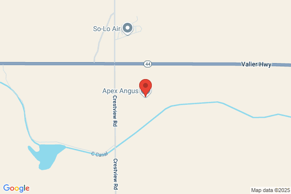 Apex Angus Ranch