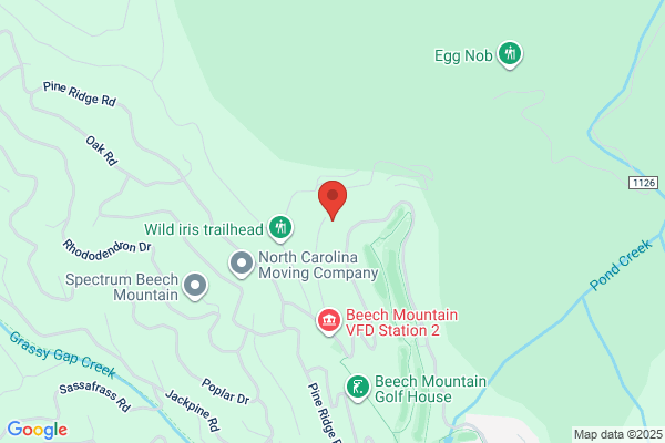 Beech Mountain Home Inspection Service