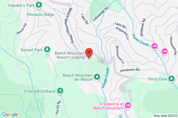 Beech Mountain Rentals