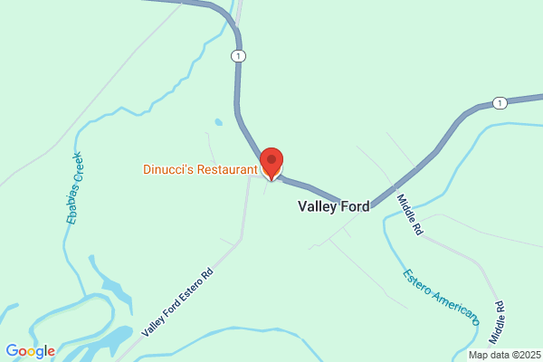 Dinucci's Italian Dinners