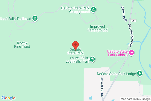 Desoto Mills Incorporated