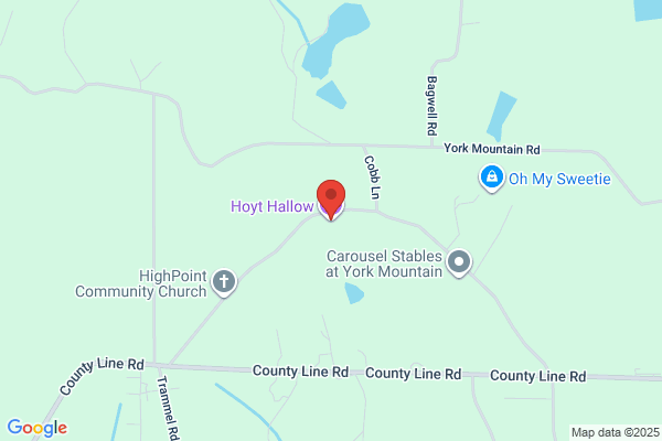 Hoyt & Association