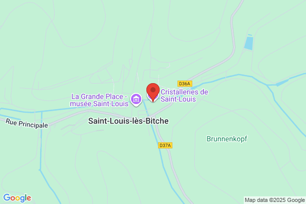 Elastizell Of St. Louis