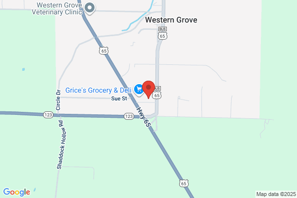 Western Grove Iga, Store