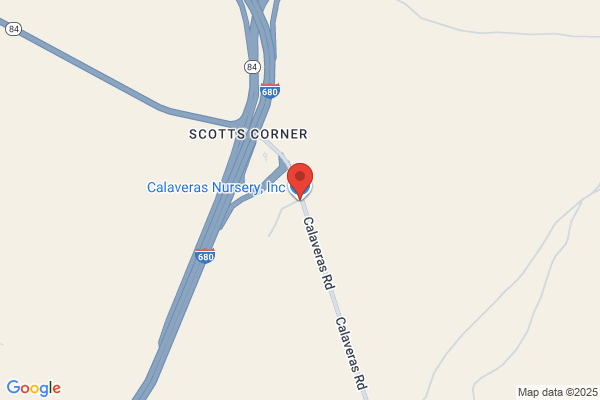 Calaveras Nursery