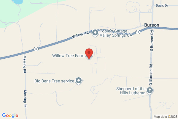 Willow Tree Farm