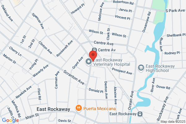 Eastrockawaynursery
