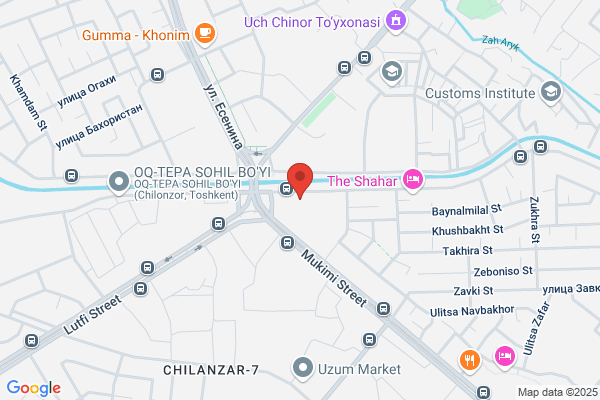 Tashkent Travel & Tours Inc