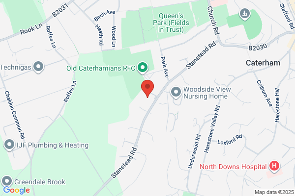 English Oak Tree Service