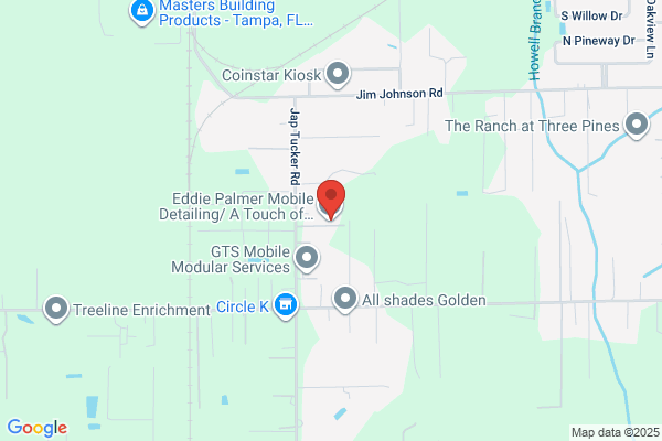 Palmer's Mobile Detailing
