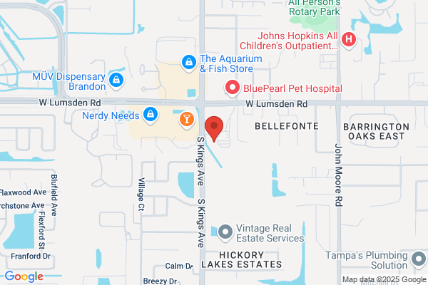 Dental Excellence of Brandon