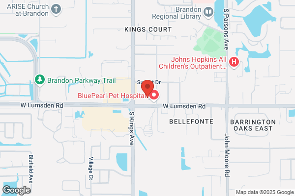 Cyberknife Centers of Tampa Bay Brandon