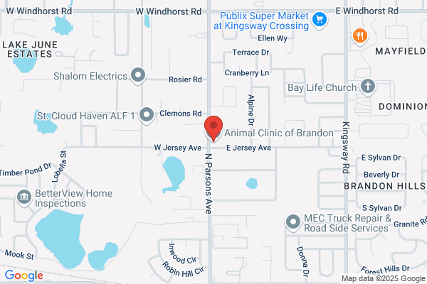 Animal Clinic of Brandon