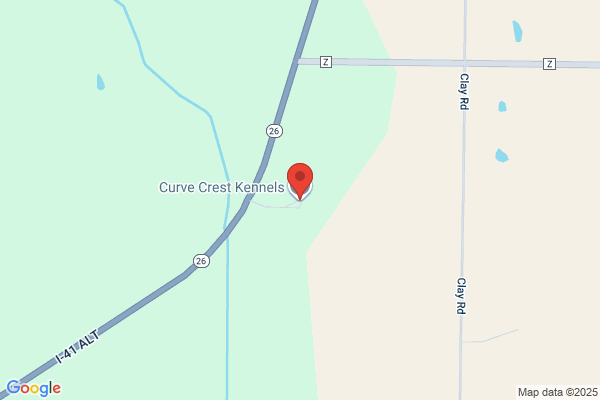Curve Crest Kennels