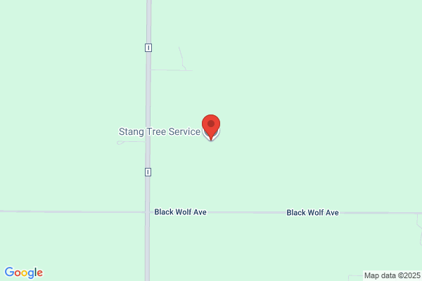 Stang Tree Service, LLC