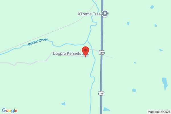 Dog Professional Kennels