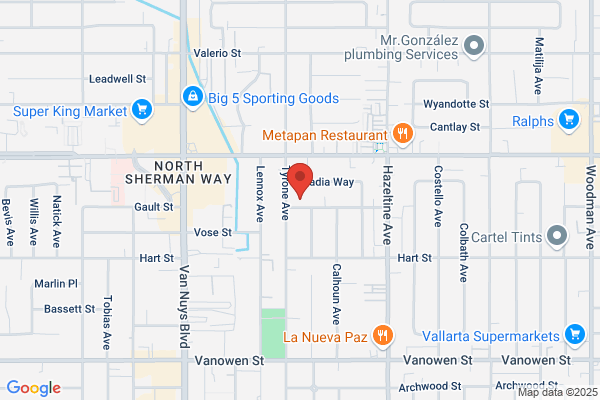 Professional Cleaning Los Angeles