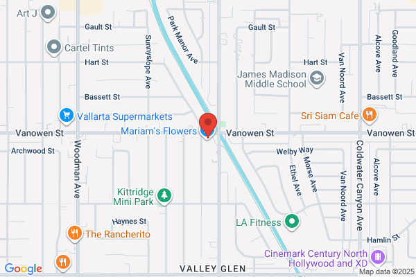Valley Vehicle Registration Service