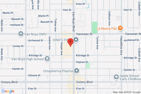 Encino’s Best Termite Solutions