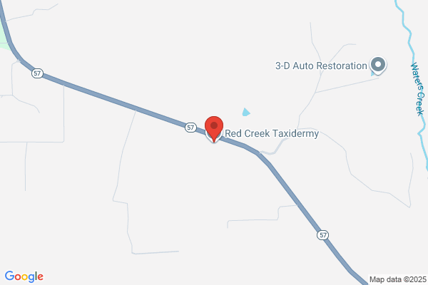 Red Creek Taxidermy
