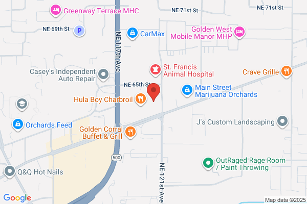 Orchards Auto License