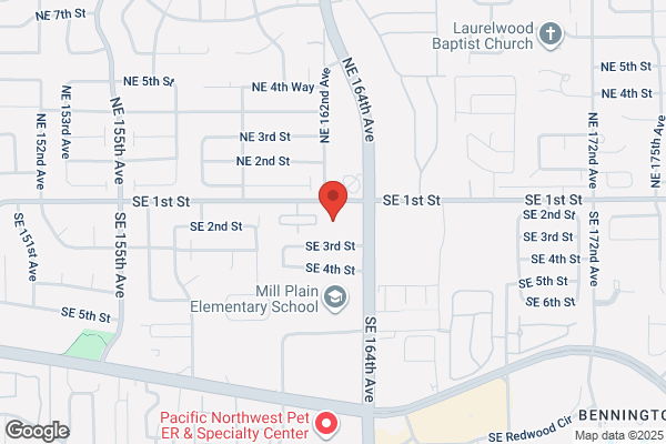 Ron's Automotive - Cascade Park