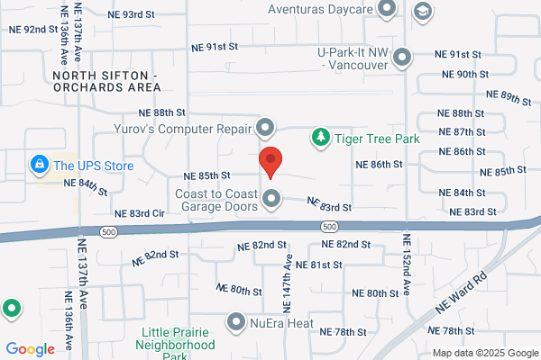 Vivo Carpet Cleaning