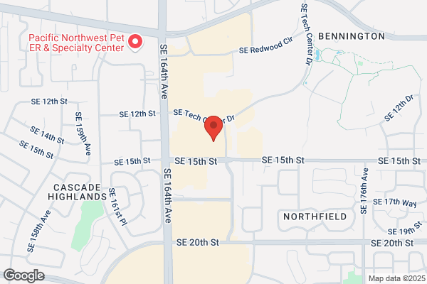 Joe Cazares Properties