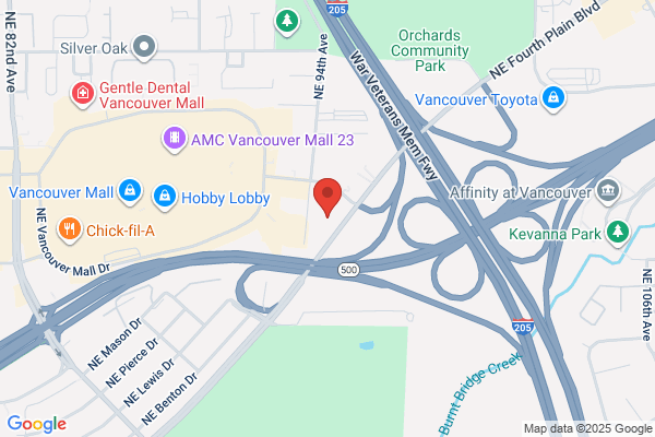 Hollywood Video