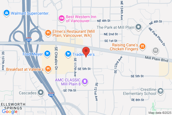 Hollywood Video