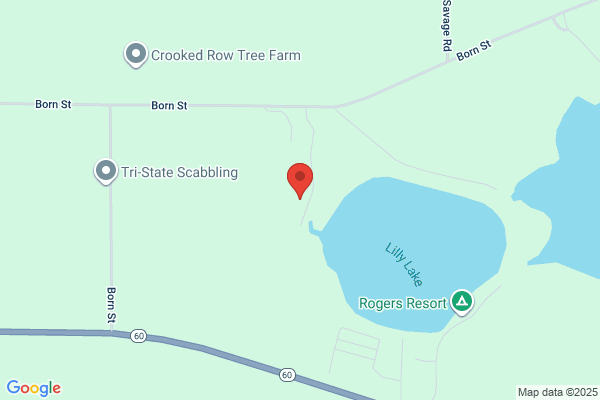 KJ's Tree Service